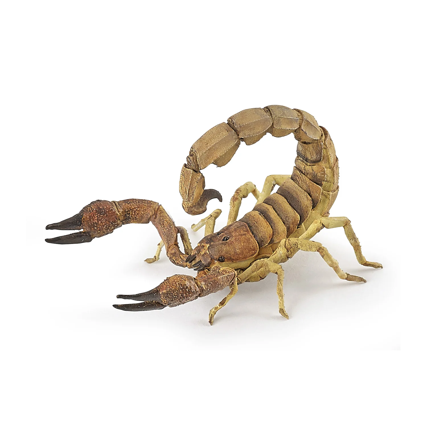 papo-scorpion-50209